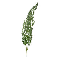 Clayre & Eef | Decoratie tak Groen 10x5x77 cm | 5PL0082