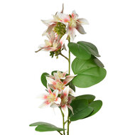 Clayre & Eef | Decoratie tak met bloemen Wit Groen 18x10x80 cm | 5PL0116W