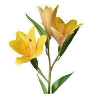 Clayre & Eef | Decoratie tak met bloemen Geel Groen 17x12x71 cm | 5PL0119Y