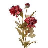 Clayre & Eef | Decoratie tak met bloemen Rood 9x9x68 cm | 6PL0328DP