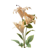 Clayre & Eef | Decoratie tak met bloemen Beige Groen 15x10x72 cm | 6PL0337Y