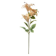 Clayre & Eef | Decoratie tak met bloemen Beige Groen 15x10x72 cm | 6PL0337Y