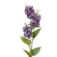 Clayre & Eef | Decoratie tak met bloemen Paars Groen 12x5x71 cm | 6PL0338PA