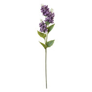 Clayre & Eef | Decoratie tak met bloemen Paars Groen 12x5x71 cm | 6PL0338PA