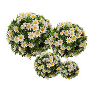 Clayre & Eef | Decoratie bol kunstbloem Margriet Wit Groen ø 12 cm | 6PL0324XS