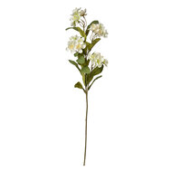 Clayre & Eef | Decoratie tak met bloemen Wit Groen 17x14x70 cm | 6PL0344W