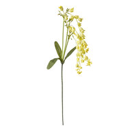Clayre & Eef | Decoratie tak met bloemen Geel Groen 15x6x80 cm | 5PL0161Y