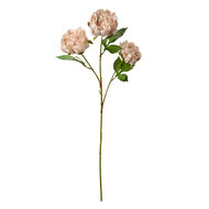 Clayre &amp; Eef   | Decoratie tak met bloemen Roze Groen 12x8x80 cm | 5PL0166P