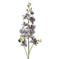 Clayre &amp; Eef   | Decoratie tak met bloemen Paars Groen 15x8x116 cm | 5PL0170PA