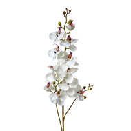 Clayre &amp; Eef   | Decoratie tak met bloemen Wit Groen 15x8x116 cm | 5PL0170W