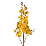 Clayre & Eef | Decoratie tak met bloemen Geel Groen 15x8x116 cm | 5PL0170Y