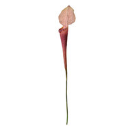 Clayre & Eef | Kunstbloem Paars Groen 6x5x75 cm | 5PL0188