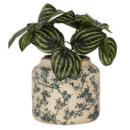 Clayre & Eef | Bloempot Binnen Beige Groen ø 16x15 cm | 6CE1975M