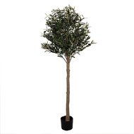 Clayre & Eef | Decoratie boom Groen 50x50x165 cm | 5PL0148