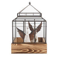 Clayre &amp; Eef   | Decoratie Kweekkasje Transparant Bruin 21x21x32 cm | 6GL5362