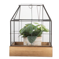 Clayre &amp; Eef   | Decoratie Kweekkasje Transparant Bruin 26x17x32 cm | 6GL5363
