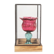 Clayre &amp; Eef   | Decoratie Kweekkasje Transparant Bruin 14x14x24 cm | 6GL5365