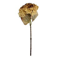 Clayre & Eef | Decoratie tak met bloemen Beige Groen 15x15x47 cm | 6PL0404CR