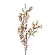 Clayre & Eef | Kunstbloem Wit Bruin 10x8x104 cm | 5PL0200W