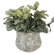 Clayre & Eef | Bloempot Binnen Groen Grijs ø 18x15 cm | 6CE2240M