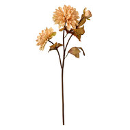 Clayre &amp; Eef   | Kunstbloem Beige Bruin 10x10x66 cm | 6PL0387BE