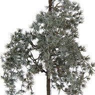 Clayre &amp; Eef   | Decoratie Boom Groen Bruin 25x30x60 cm | 50846