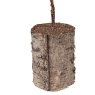 Clayre &amp; Eef   | Decoratie Boom Groen Bruin 14x14x45 cm | 66433