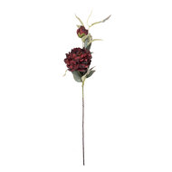Clayre &amp; Eef   | Decoratie tak met bloemen Rood Groen 14x14x78 cm | 5PL0244BU