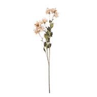 Clayre &amp; Eef   | Decoratie tak met bloemen Beige Groen 14x14x120 cm | 5PL0258BE