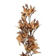 Clayre &amp; Eef   | Decoratie tak met bloemen Bruin Groen 10x10x95 cm | 5PL0265Y