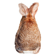 Clayre &amp; Eef   | Kussen Konijn Bruin 16x5x32 cm | TW0626