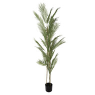Clayre &amp; Eef   | Kunstplant Palm Groen Zwart 25x25x180 cm | 5PL0231