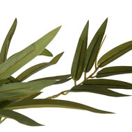 Clayre &amp; Eef   | Kunstplant Bamboe Groen Zwart 35x35x160 cm | 5PL0232