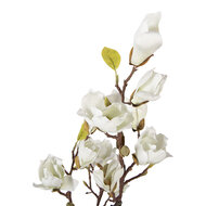 Clayre &amp; Eef   | Decoratie Magnolia boom 16x14x60 cm | 5PL0206