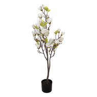 Clayre &amp; Eef   | Decoratie Magnolia boom Wit Groen 20x15x120 cm | 5PL0208W