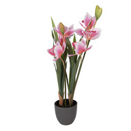 Clayre &amp; Eef   | Kunstplant Cattleya Hybrida Roze Groen 14x14x55 cm | 5PL0209