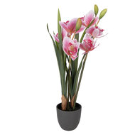 Clayre &amp; Eef   | Kunstplant Cattleya Hybrida Roze Groen 14x14x55 cm | 5PL0209