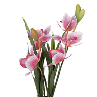 Clayre &amp; Eef   | Kunstplant Cattleya Hybrida Roze Groen 14x14x55 cm | 5PL0209