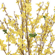 Clayre &amp; Eef   | Kunstplant Forsythia Geel Bruin 20x20x125 cm | 5PL0215