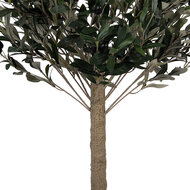 Clayre &amp; Eef   | Decoratie Olijfboom Groen Bruin 45x45x120 cm | 5PL0224