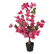 Clayre &amp; Eef   | Decoratie Bougainvillea boom Roze Groen 25x25x60 cm | 5PL0227