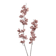 Clayre &amp; Eef   | Decoratie tak met bloemen Roze Bruin 10x10x110 cm | 5PL0274P