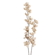 Clayre &amp; Eef   | Decoratie tak met bloemen Beige Bruin 10x10x110 cm | 5PL0274W