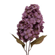 Clayre &amp; Eef   | Decoratie tak met bloemen Paars Groen 12x12x90 cm | 5PL0276PA