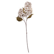 Clayre &amp; Eef   | Decoratie tak met bloemen Wit Groen 12x12x90 cm | 5PL0276W