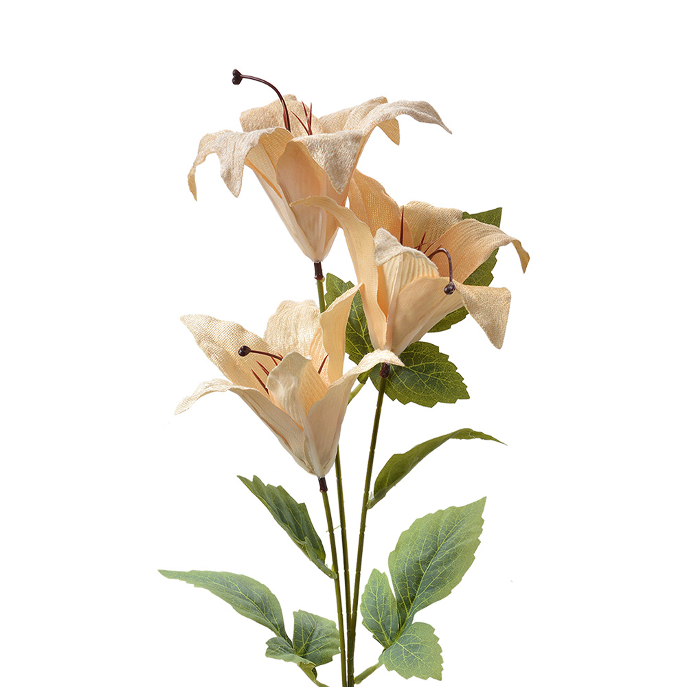 Clayre & Eef   | Decoratie tak met bloemen Beige Groen 15x10x72 cm | 6PL0337Y