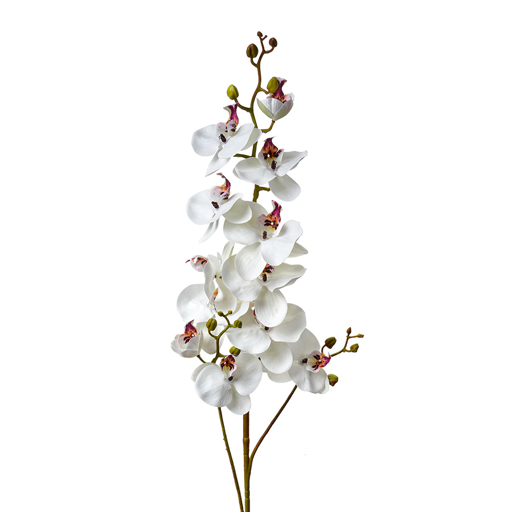 Clayre & Eef   | Decoratie tak met bloemen Wit Groen 15x8x116 cm | 5PL0170W