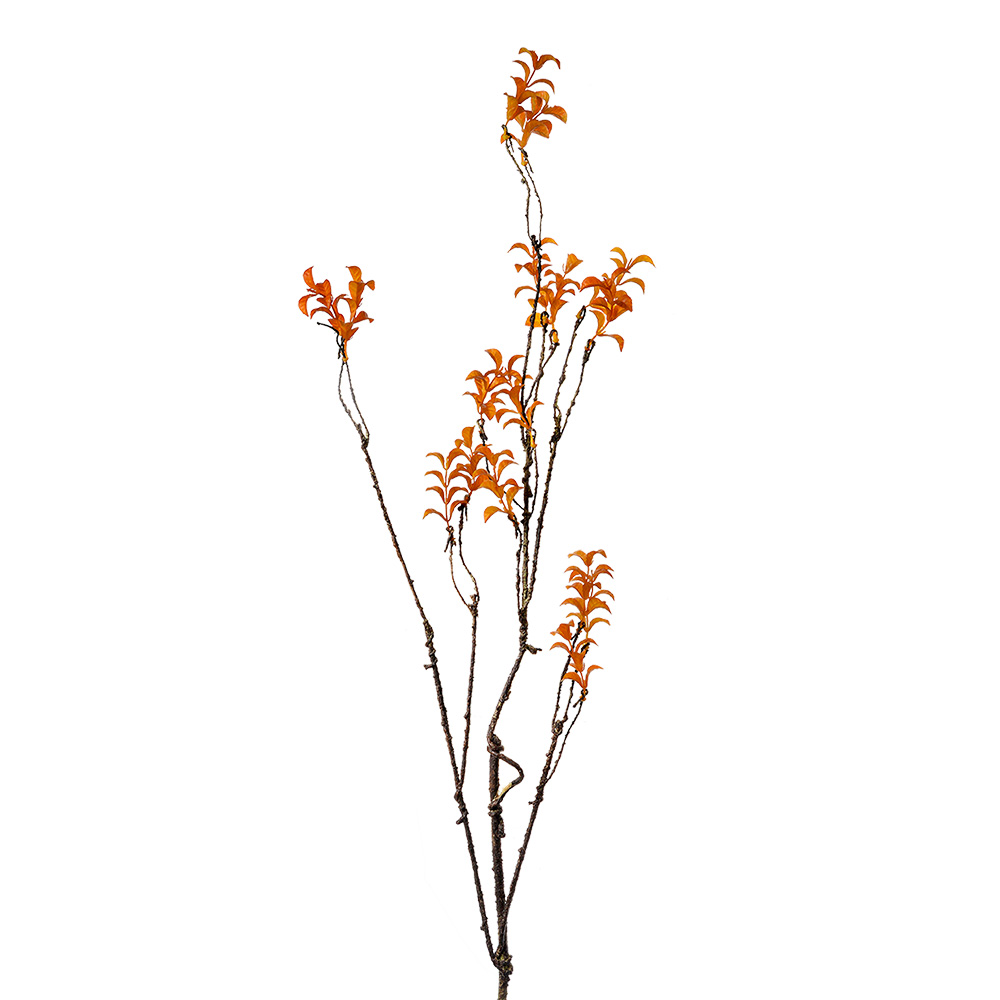 Clayre & Eef   | Decoratie Tak Oranje Bruin 18x5x110 cm | 5PL0184