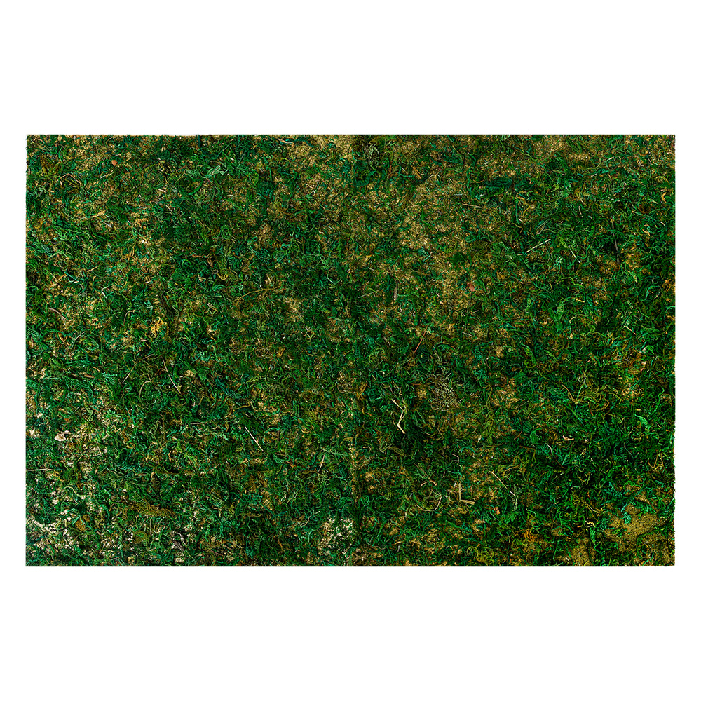 Clayre & Eef   | Mosmat Groen 60x40x1 cm | 66121