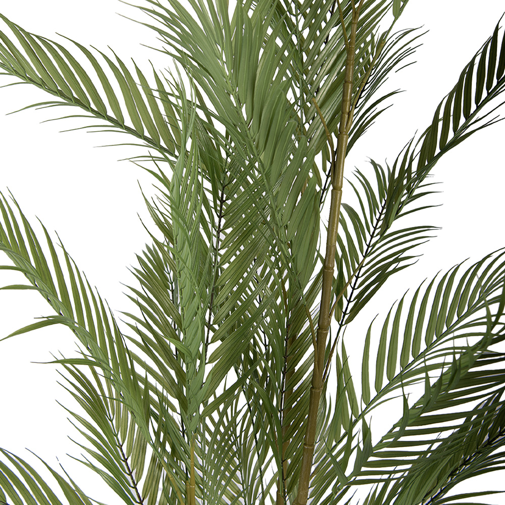 Clayre & Eef   | Kunstplant Palm Groen Zwart 25x25x180 cm | 5PL0231
